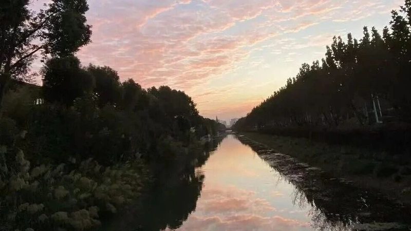免费法律咨询平台：中小企业合规之路的贴心助手